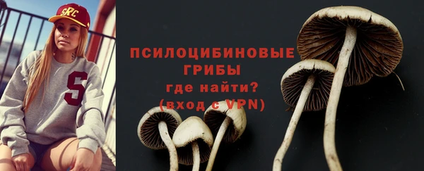 apvp Лабытнанги