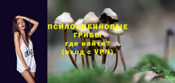 PSILOCYBIN Лагань