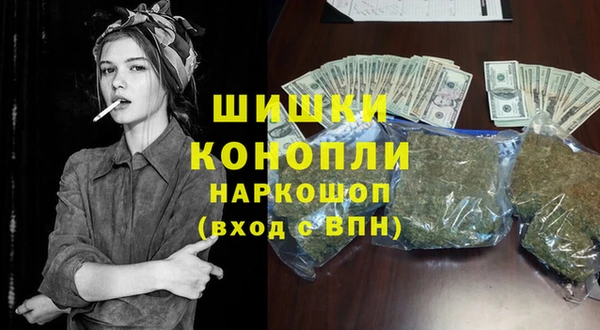 PSILOCYBIN Лагань