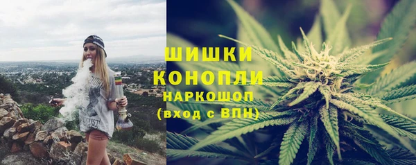 PSILOCYBIN Лагань