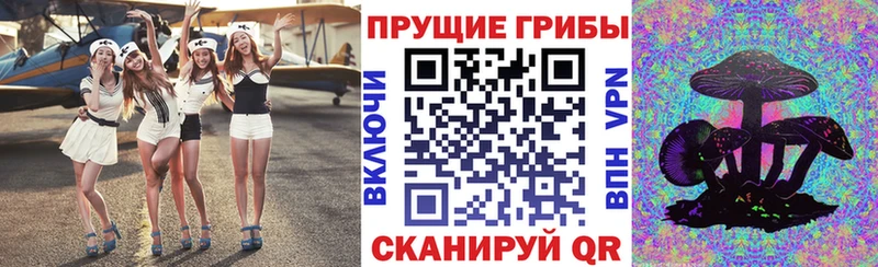 купить закладку  Ильский  Галлюциногенные грибы Psilocybe 